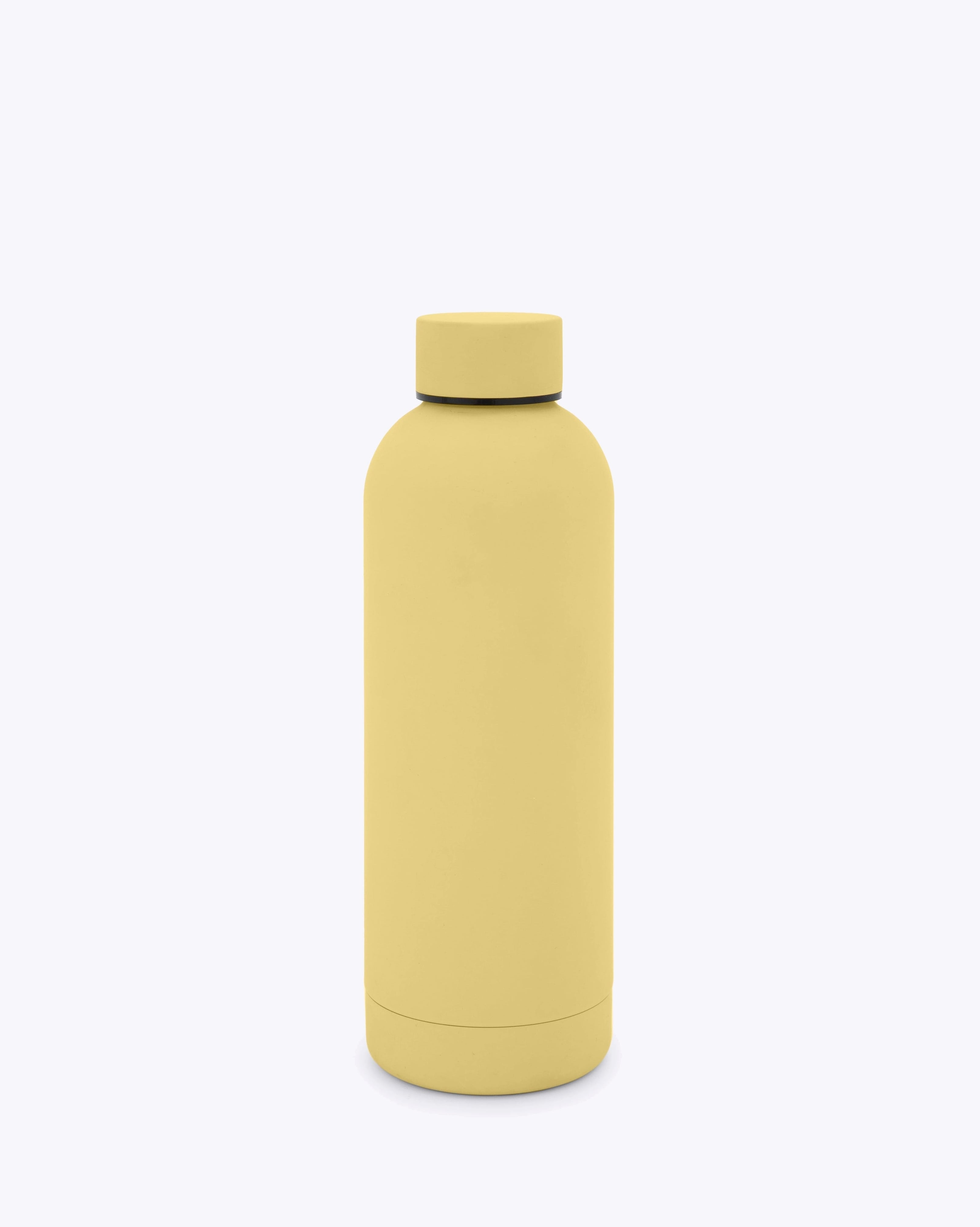 Stainless Steel Water Bottle — Voyager Elite
